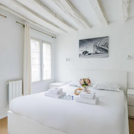 Magnificent 1br-4p-musee Du Louvre Apartment Paris
